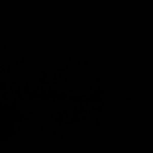 Meet your Posher, Miguel